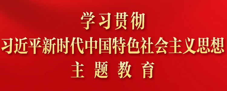 學(xué)習(xí)貫徹習(xí)近平新時代中國特色社會主義思想主題教育專題網(wǎng)站